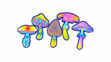 Load image into Gallery viewer, Mushroom  3D Bubble Sticker
