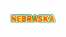 Load image into Gallery viewer, Nebraska 3D Bubble Sticker
